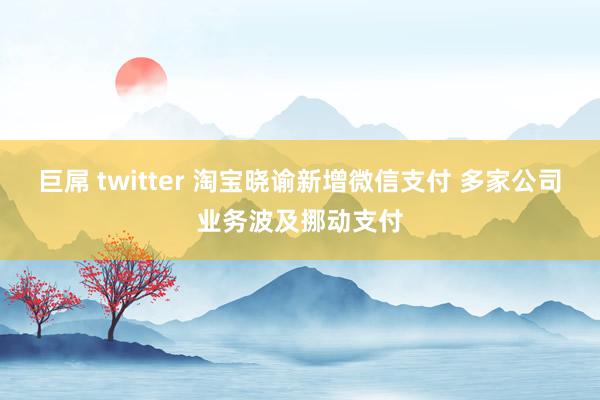 巨屌 twitter 淘宝晓谕新增微信支付 多家公司业务波及挪动支付