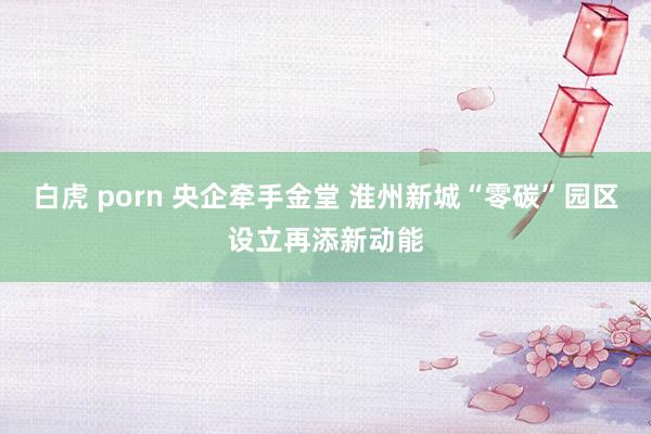 白虎 porn 央企牵手金堂 淮州新城“零碳”园区设立再添新动能