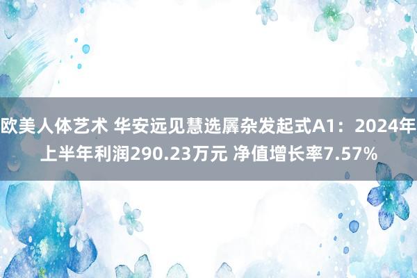 欧美人体艺术 华安远见慧选羼杂发起式A1：2024年上半年利润290.23万元 净值增长率7.57%