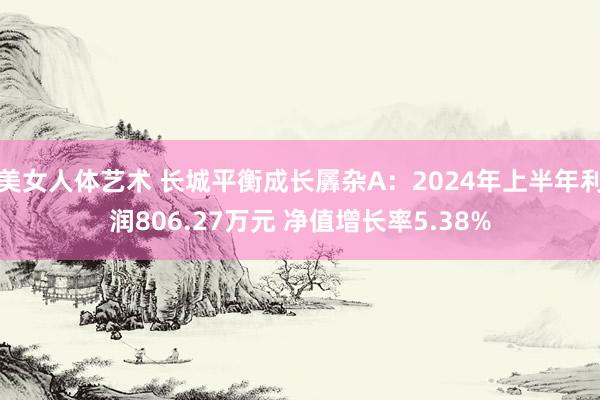 美女人体艺术 长城平衡成长羼杂A：2024年上半年利润806.27万元 净值增长率5.38%