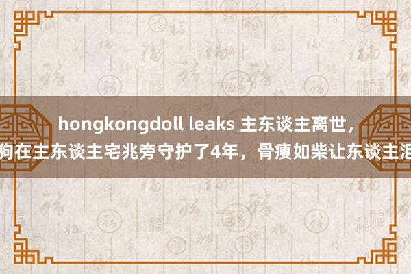 hongkongdoll leaks 主东谈主离世，狗狗在主东谈主宅兆旁守护了4年，骨瘦如柴让东谈主泪目