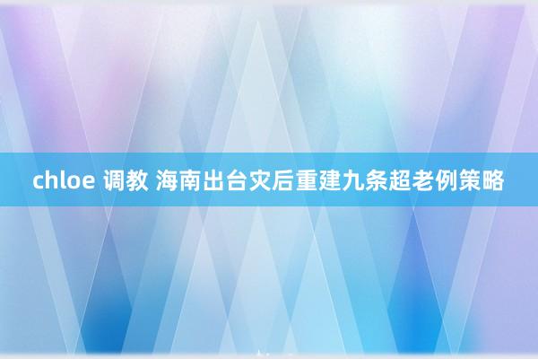 chloe 调教 海南出台灾后重建九条超老例策略