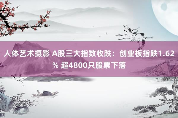 人体艺术摄影 A股三大指数收跌：创业板指跌1.62% 超4800只股票下落