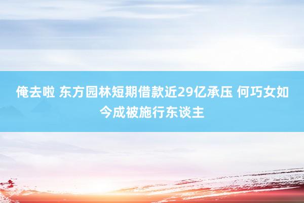 俺去啦 东方园林短期借款近29亿承压 何巧女如今成被施行东谈主