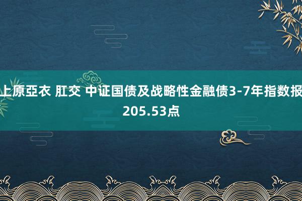 上原亞衣 肛交 中证国债及战略性金融债3-7年指数报205.53点