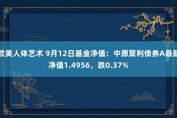 欧美人体艺术 9月12日基金净值：中原聚利债券A最新净值1.4956，跌0.37%