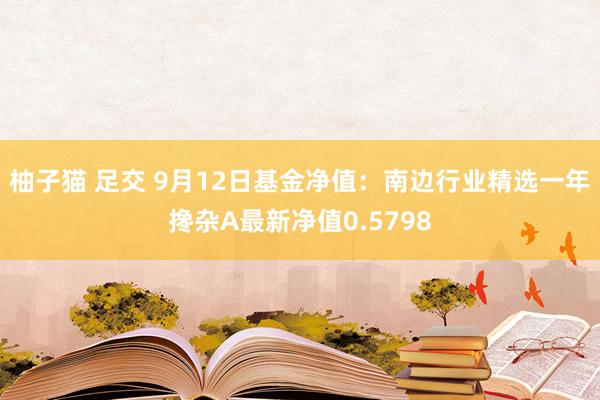 柚子猫 足交 9月12日基金净值：南边行业精选一年搀杂A最新净值0.5798