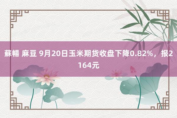 蘇暢 麻豆 9月20日玉米期货收盘下降0.82%，报2164元