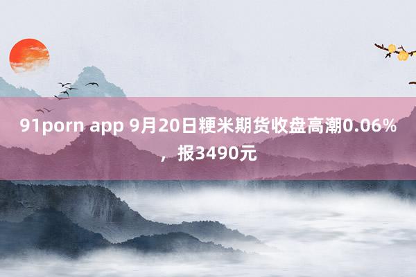 91porn app 9月20日粳米期货收盘高潮0.06%，报3490元