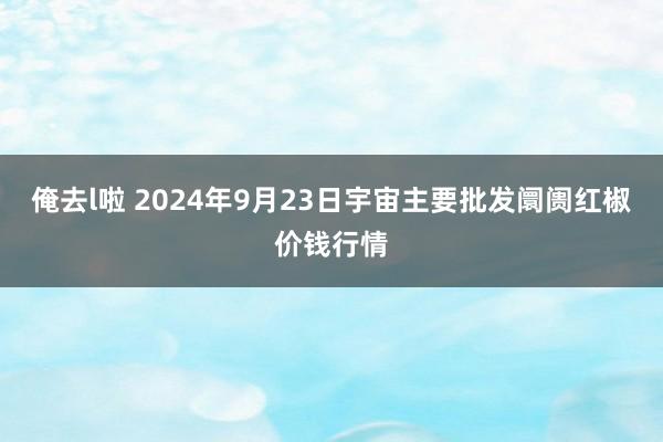 俺去l啦 2024年9月23日宇宙主要批发阛阓红椒价钱行情