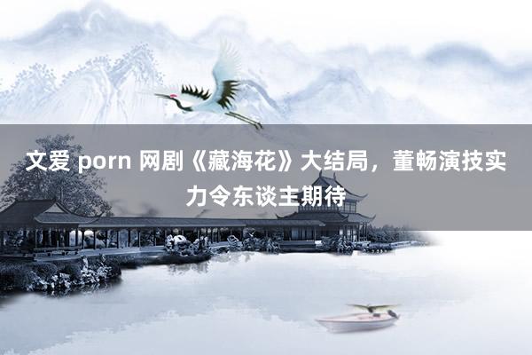 文爱 porn 网剧《藏海花》大结局，董畅演技实力令东谈主期待