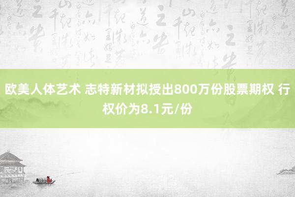 欧美人体艺术 志特新材拟授出800万份股票期权 行权价为8.1元/份