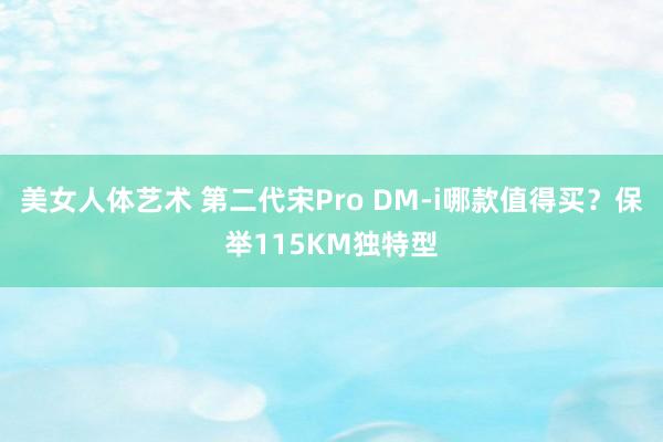 美女人体艺术 第二代宋Pro DM-i哪款值得买？保举115KM独特型