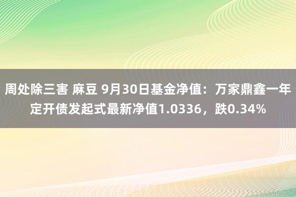 周处除三害 麻豆 9月30日基金净值：万家鼎鑫一年定开债发起式最新净值1.0336，跌0.34%