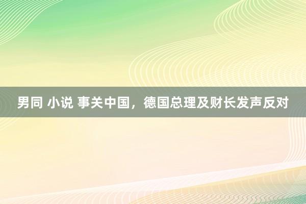 男同 小说 事关中国，德国总理及财长发声反对