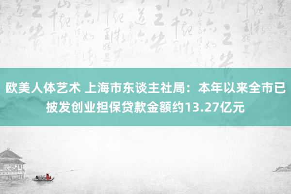 欧美人体艺术 上海市东谈主社局：本年以来全市已披发创业担保贷款金额约13.27亿元