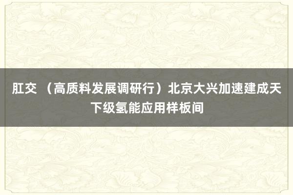 肛交 （高质料发展调研行）北京大兴加速建成天下级氢能应用样板间