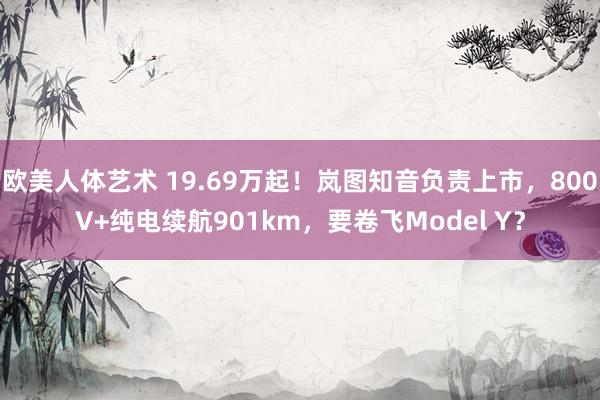 欧美人体艺术 19.69万起！岚图知音负责上市，800V+纯电续航901km，要卷飞Model Y？