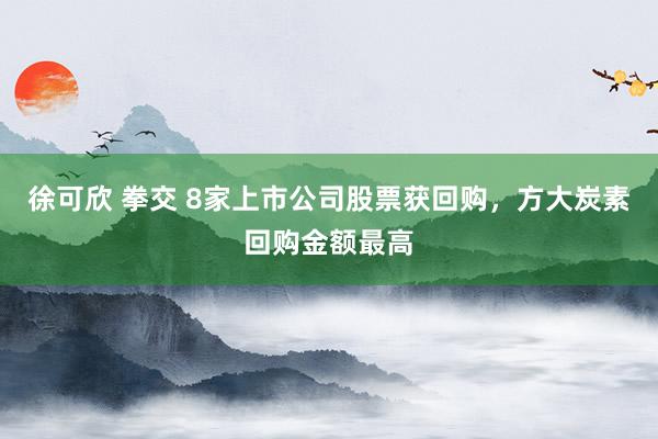 徐可欣 拳交 8家上市公司股票获回购，方大炭素回购金额最高