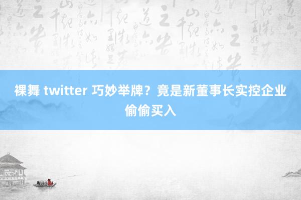 裸舞 twitter 巧妙举牌？竟是新董事长实控企业偷偷买入