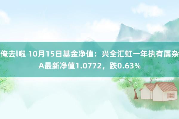 俺去l啦 10月15日基金净值：兴全汇虹一年执有羼杂A最新净值1.0772，跌0.63%