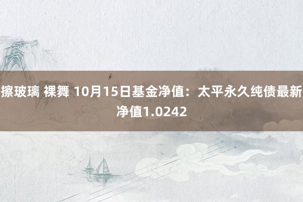 擦玻璃 裸舞 10月15日基金净值：太平永久纯债最新净值1.0242