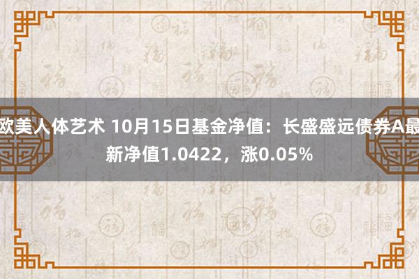 欧美人体艺术 10月15日基金净值：长盛盛远债券A最新净值1.0422，涨0.05%