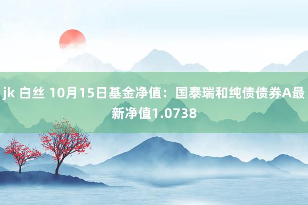 jk 白丝 10月15日基金净值：国泰瑞和纯债债券A最新净值1.0738