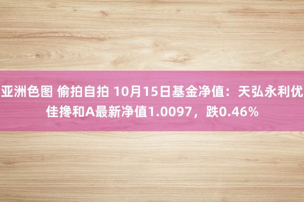 亚洲色图 偷拍自拍 10月15日基金净值：天弘永利优佳搀和A最新净值1.0097，跌0.46%