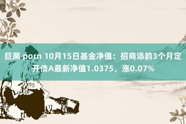 巨屌 porn 10月15日基金净值：招商添韵3个月定开债A最新净值1.0375，涨0.07%