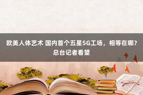 欧美人体艺术 国内首个五星5G工场，相等在哪？总台记者看望