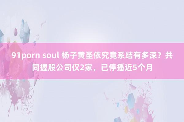 91porn soul 杨子黄圣依究竟系结有多深？共同握股公司仅2家，已停播近5个月