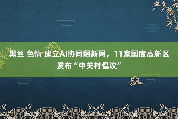 黑丝 色情 建立AI协同翻新网，11家国度高新区发布“中关村倡议”