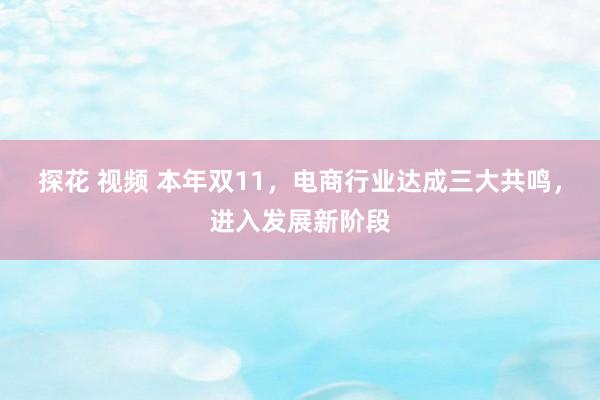 探花 视频 本年双11，电商行业达成三大共鸣，进入发展新阶段