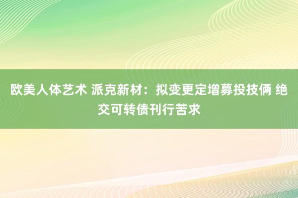 欧美人体艺术 派克新材：拟变更定增募投技俩 绝交可转债刊行苦求