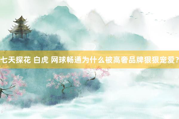 七天探花 白虎 网球畅通为什么被高奢品牌狠狠宠爱？