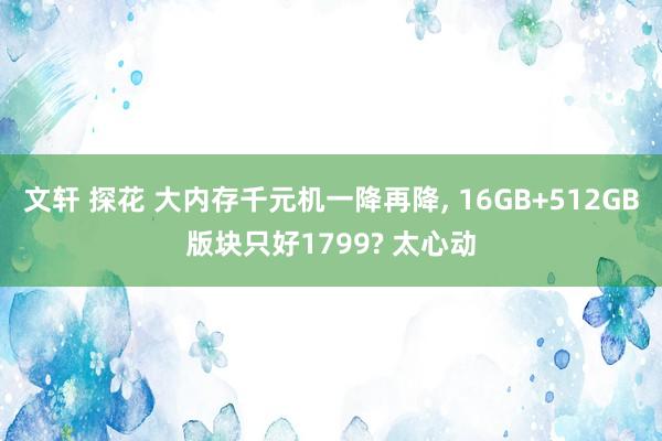 文轩 探花 大内存千元机一降再降， 16GB+512GB版块只好1799? 太心动