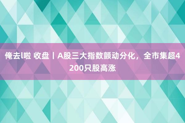 俺去l啦 收盘丨A股三大指数颤动分化，全市集超4200只股高涨