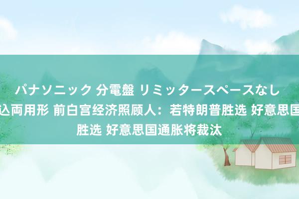 パナソニック 分電盤 リミッタースペースなし 露出・半埋込両用形 前白宫经济照顾人：若特朗普胜选 好意思国通胀将裁汰