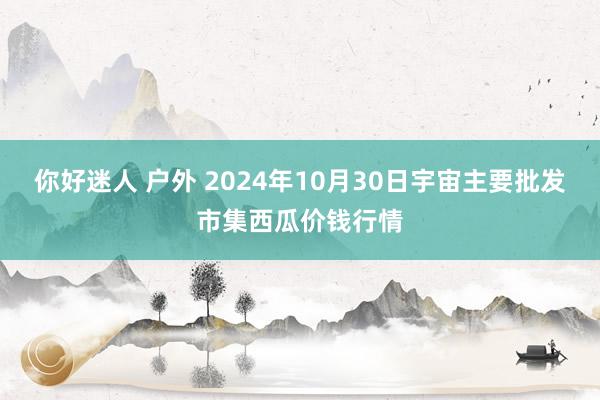 你好迷人 户外 2024年10月30日宇宙主要批发市集西瓜价钱行情