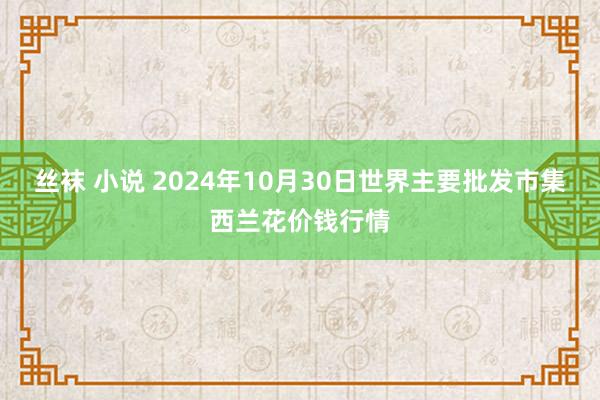 丝袜 小说 2024年10月30日世界主要批发市集西兰花价钱行情