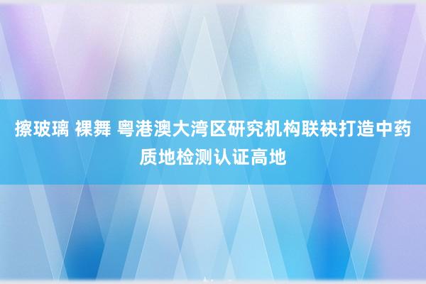 擦玻璃 裸舞 粤港澳大湾区研究机构联袂打造中药质地检测认证高地