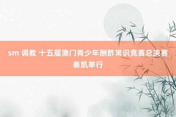 sm 调教 十五届澳门青少年酬酢常识竞赛总决赛奏凯举行