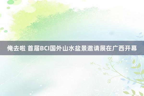 俺去啦 首届BCI国外山水盆景邀请展在广西开幕