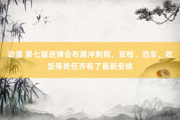 动漫 第七届进博会布展冲刺期，安检、泊车、吃饭等责任齐有了最新安排