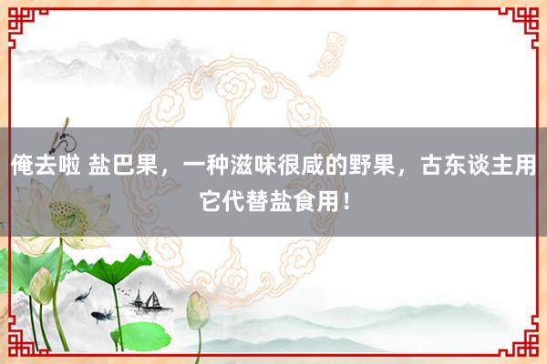 俺去啦 盐巴果，一种滋味很咸的野果，古东谈主用它代替盐食用！