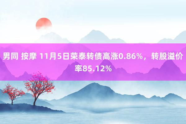 男同 按摩 11月5日荣泰转债高涨0.86%，转股溢价率85.12%