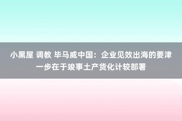 小黑屋 调教 毕马威中国：企业见效出海的要津一步在于竣事土产货化计较部署