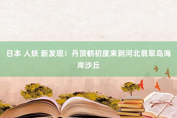 日本 人妖 新发现！丹顶鹤初度来到河北翡翠岛海岸沙丘