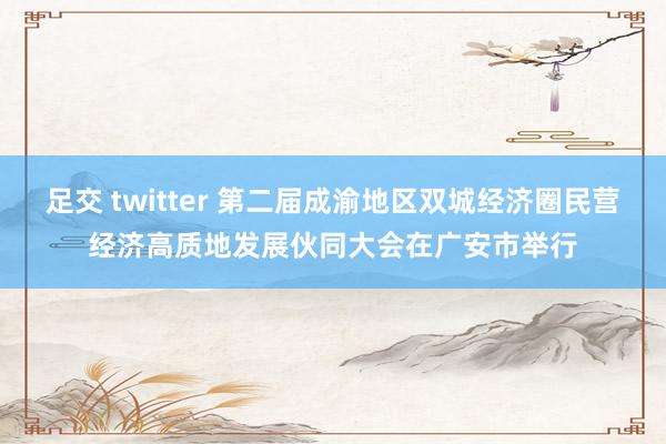 足交 twitter 第二届成渝地区双城经济圈民营经济高质地发展伙同大会在广安市举行